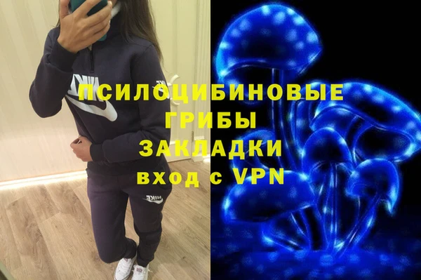 спайс Вяземский