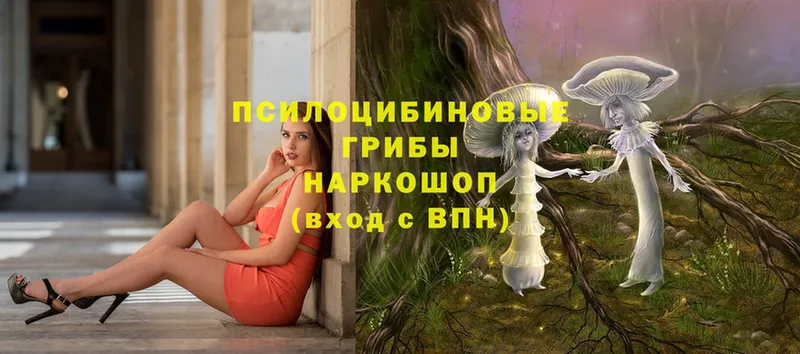 купить  цена  Болхов  блэк спрут ссылка  Псилоцибиновые грибы Cubensis 